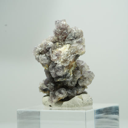 Seltene Phantom Fluorit Würfel, Muskovit Stufe Erongo, Namibia 16*12*11mm #13584
