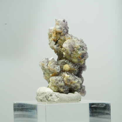 Seltene Phantom Fluorit Würfel, Muskovit Stufe Erongo, Namibia 16*12*11mm #13584