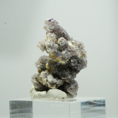 Seltene Phantom Fluorit Würfel, Muskovit Stufe Erongo, Namibia 16*12*11mm #13584