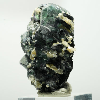 Fluorite fantôme hexagonal, tourmaline schorl, muscovite Erongo, Namibie 48*29*28mm #13640