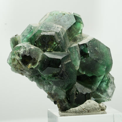 Phantom Fluorit hexagonal, Schörl Turmalin Stufe Erongo, Namibia 55*41*27mm #13644