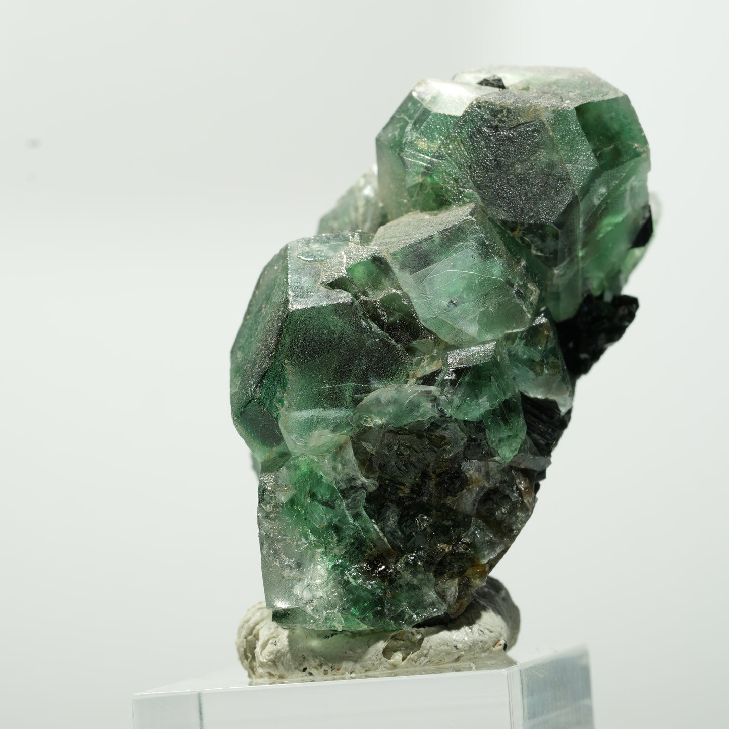 Phantom Fluorit hexagonal, Schörl Turmalin Stufe Erongo, Namibia 55*41*27mm #13644