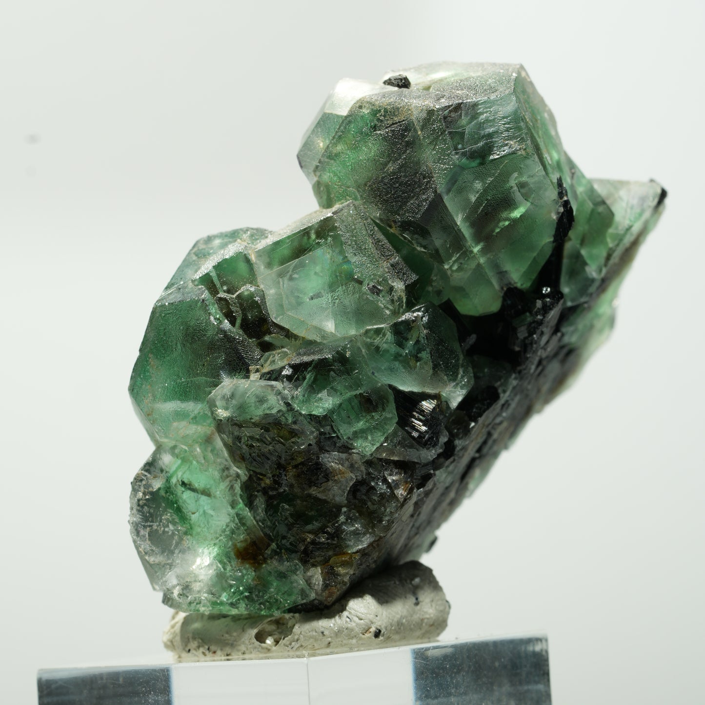 Phantom Fluorit hexagonal, Schörl Turmalin Stufe Erongo, Namibia 55*41*27mm #13644
