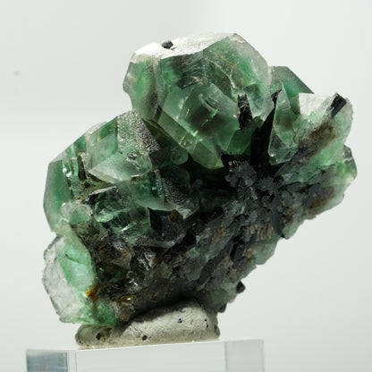 Phantom Fluorit hexagonal, Schörl Turmalin Stufe Erongo, Namibia 55*41*27mm #13644