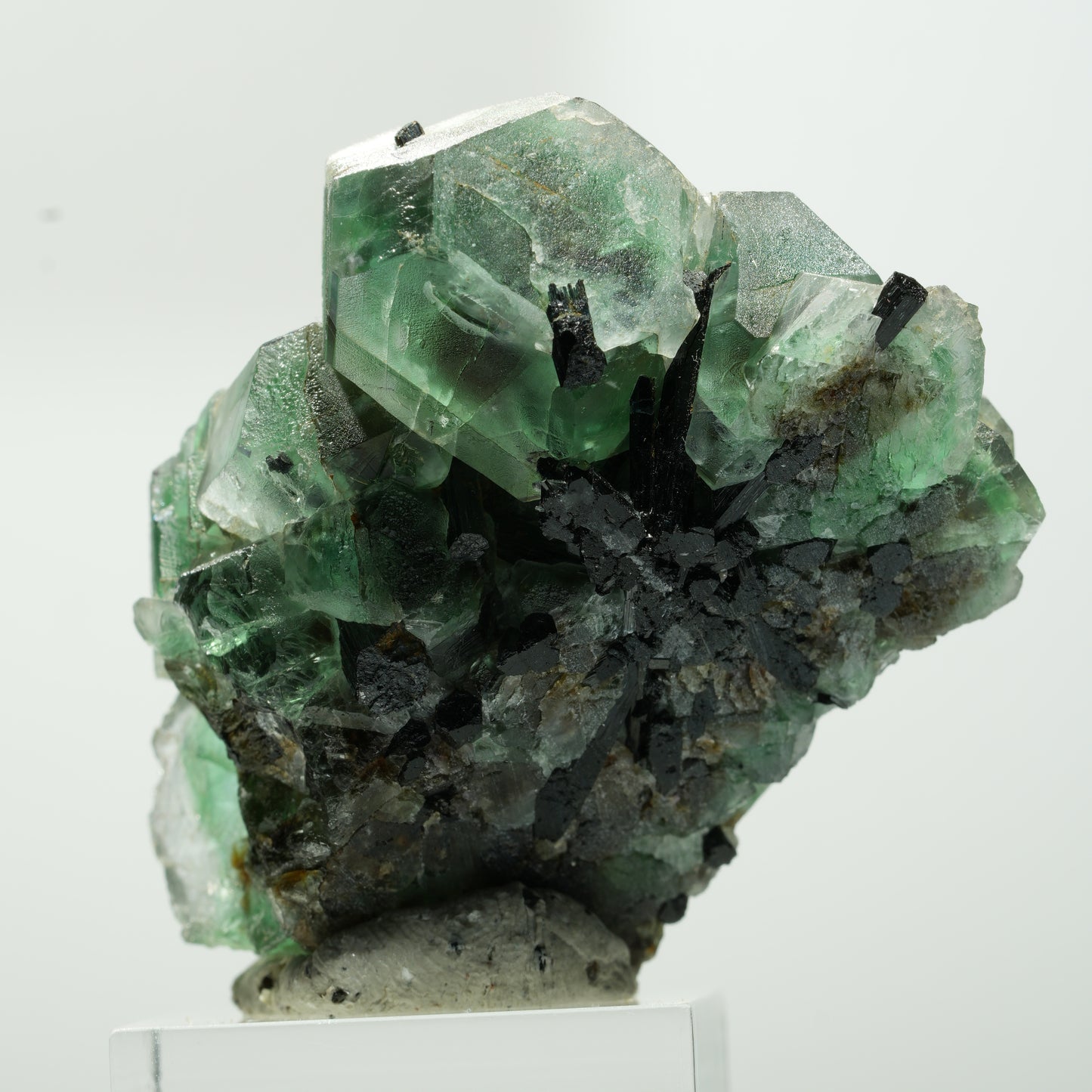 Phantom Fluorit hexagonal, Schörl Turmalin Stufe Erongo, Namibia 55*41*27mm #13644