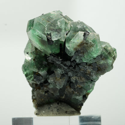 Phantom Fluorit hexagonal, Schörl Turmalin Stufe Erongo, Namibia 55*41*27mm #13644