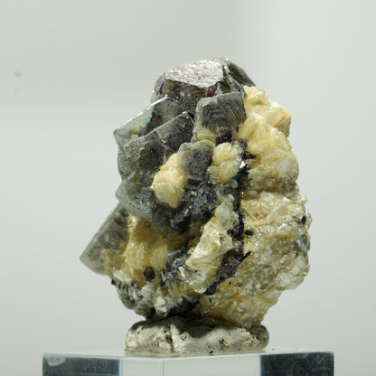 Bunte Phantom Fluorit Würfel, Schörl Turmalin, Muskovit Erongo, Namibia 41*34*25mm #13645