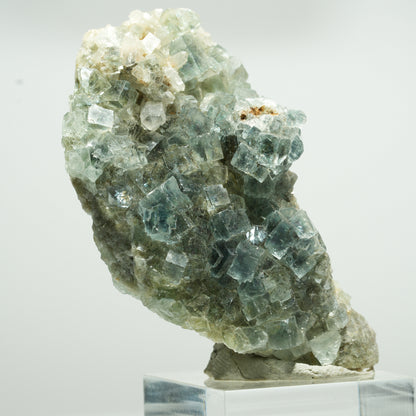 Cuboctaèdre de fluorine fantôme rare, sur gangue de quartz, Okorusu double face, Namibie 63*34*23mm #13650