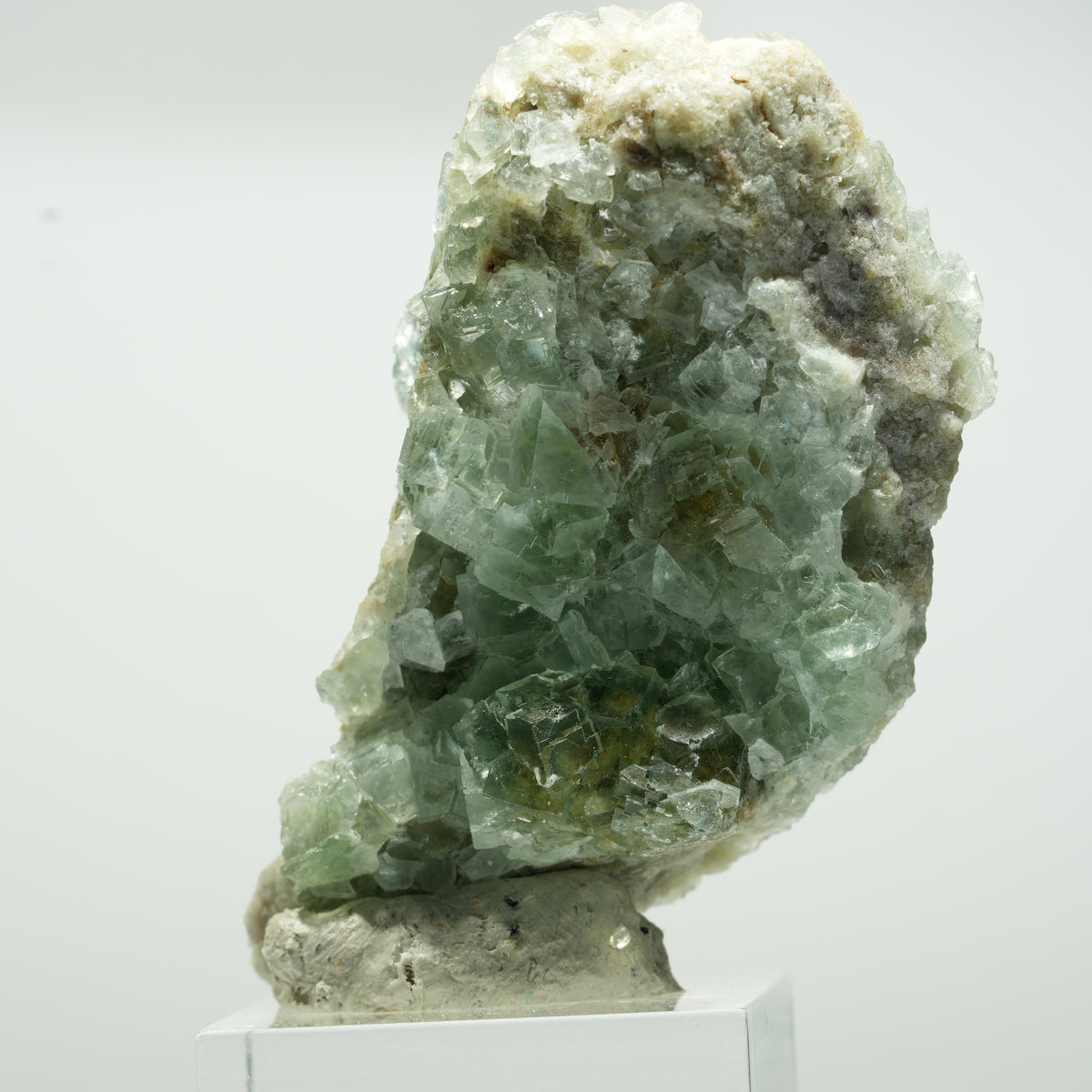 Cuboctaèdre de fluorine fantôme rare, sur gangue de quartz, Okorusu double face, Namibie 63*34*23mm #13650