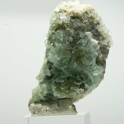 Cuboctaèdre de fluorine fantôme rare, sur gangue de quartz, Okorusu double face, Namibie 63*34*23mm #13650