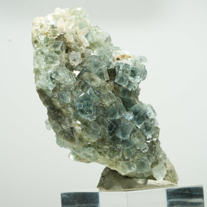 Cuboctaèdre de fluorine fantôme rare, sur gangue de quartz, Okorusu double face, Namibie 63*34*23mm #13650