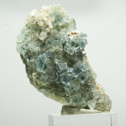Cuboctaèdre de fluorine fantôme rare, sur gangue de quartz, Okorusu double face, Namibie 63*34*23mm #13650