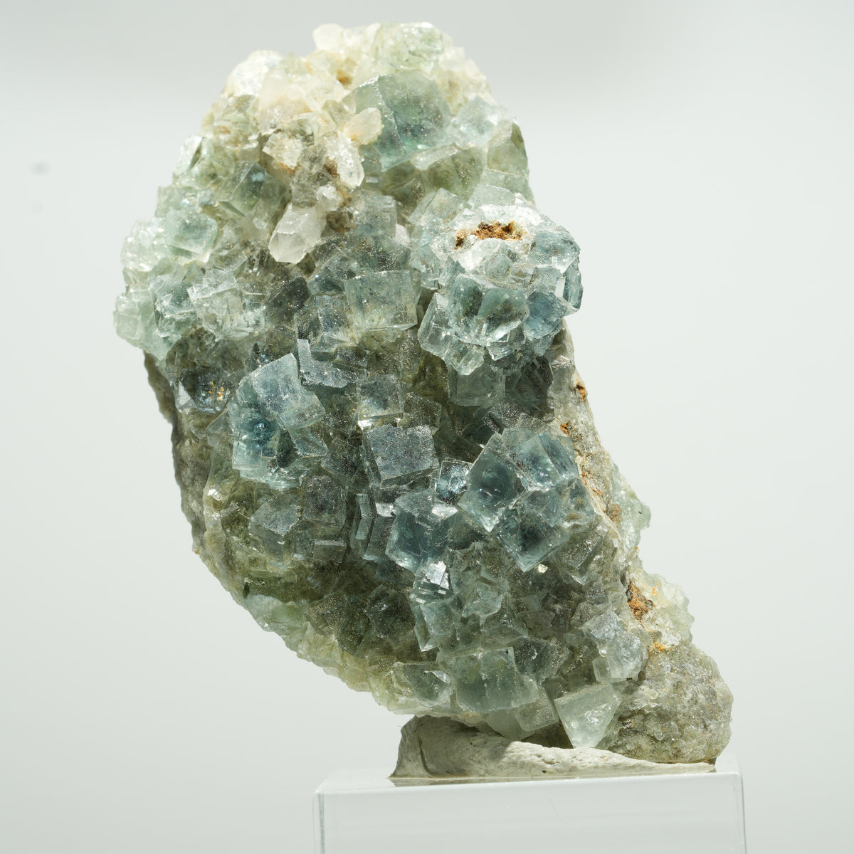Cuboctaèdre de fluorine fantôme rare, sur gangue de quartz, Okorusu double face, Namibie 63*34*23mm #13650