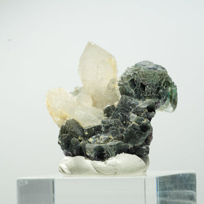 Seltene klare Phantom Fluorit Würfel, Quarz Stufe Okorusu, Namibia 29*29*19mm #13655