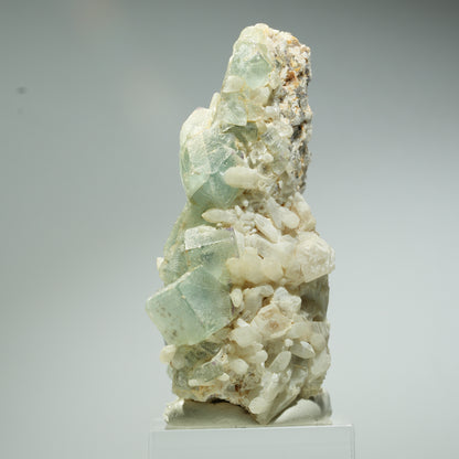 Seltene Phantom Fluorit Würfel, Quarz Stufe Omehane, Namibia 60*45*28mm #13658
