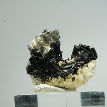 Bunte Phantom Fluorit Würfel, Schörl Turmalin, Muskovit Erongo, Namibia 36*29*15mm #13672
