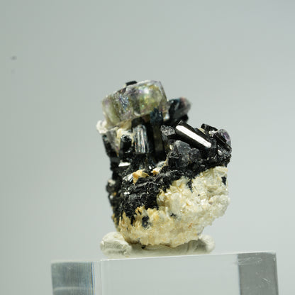 Bunte Phantom Fluorit Würfel, Schörl Turmalin, Muskovit Erongo, Namibia 36*29*15mm #13672