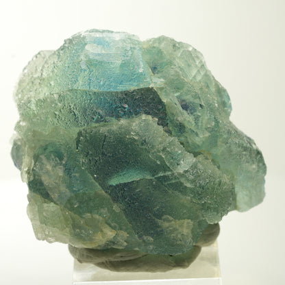 Seltene Phantom Fluorit Würfel Stufe, grün lila Omehane, Namibia 52*45*30mm #13687