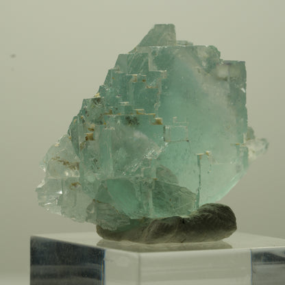 Seltene Phantom Fluorit Würfel Stufe, grün Okorusu, Namibia 35*24*20mm #13693