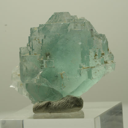 Seltene Phantom Fluorit Würfel Stufe, grün Okorusu, Namibia 35*24*20mm #13693