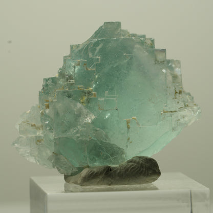 Seltene Phantom Fluorit Würfel Stufe, grün Okorusu, Namibia 35*24*20mm #13693