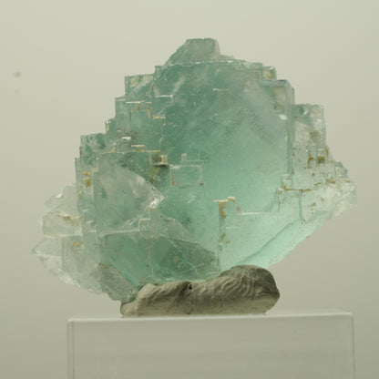 Seltene Phantom Fluorit Würfel Stufe, grün Okorusu, Namibia 35*24*20mm #13693
