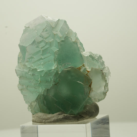 Seltene Phantom Fluorit Würfel Stufe, grün Omehane, Namibia 47*40*26mm #13694