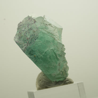 Seltene Phantom Fluorit Würfel Stufe, grün Omehane, Namibia 47*40*26mm #13694