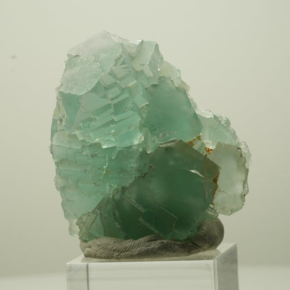 Seltene Phantom Fluorit Würfel Stufe, grün Omehane, Namibia 47*40*26mm #13694