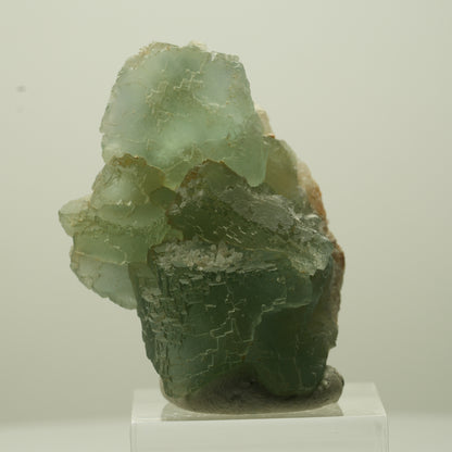 Seltene Phantom Fluorit Würfel Stufe, grün parkettiert Omehane, Namibia 44*31*23mm #13695