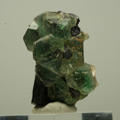 Phantom Fluorit hexagonal, Schörl Turmalin Stufe Erongo, Namibia 41*25*23mm #13697