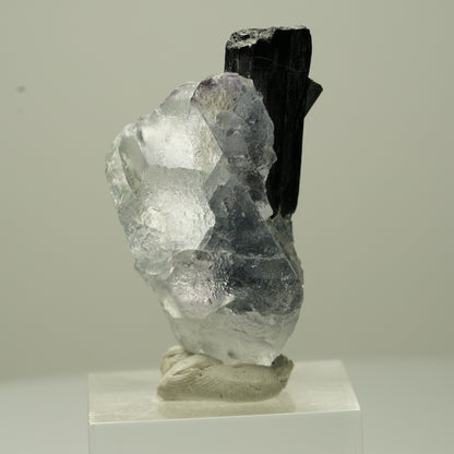 Phantom Fluorit Würfel, Schörl Turmalin, Muskovit Erongo, Namibia 44*21*14mm #13703