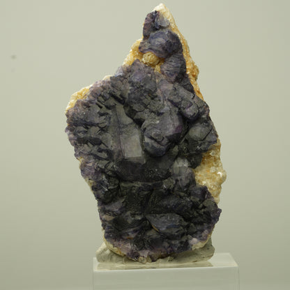 Seltene Phantom Fluorit Würfel, Muskovit Stufe Erongo, Namibia 54*30*18mm #13709