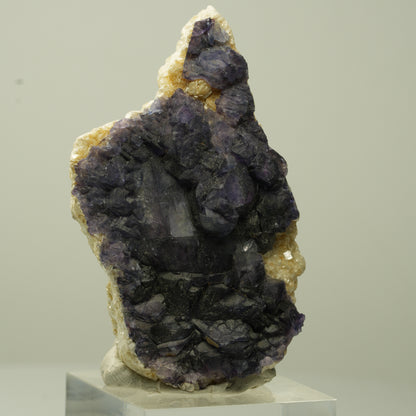 Seltene Phantom Fluorit Würfel, Muskovit Stufe Erongo, Namibia 54*30*18mm #13709