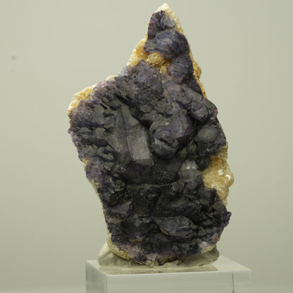 Seltene Phantom Fluorit Würfel, Muskovit Stufe Erongo, Namibia 54*30*18mm #13709
