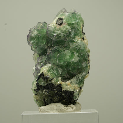 Phantom Fluorit Würfel, Schörl Turmalin, Muskovit Erongo, Namibia 42*28*19mm #13733