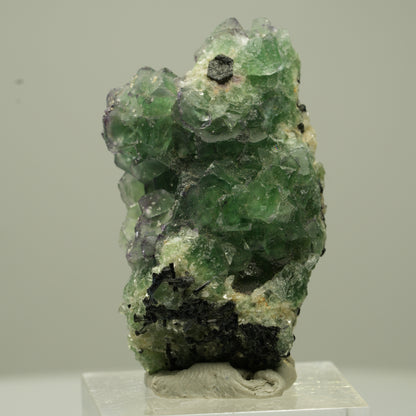 Phantom Fluorit Würfel, Schörl Turmalin, Muskovit Erongo, Namibia 42*28*19mm #13733