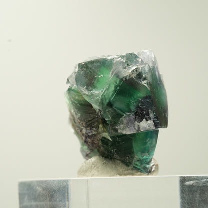 Seltene Phantom Fluorit Würfel Stufe, grün lila Erongo, Namibia 29*23*19mm #13735