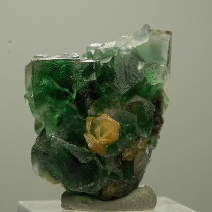 Seltene Phantom Fluorit Würfel, Muskovit Stufe Erongo, Namibia 37*30*29mm #13738