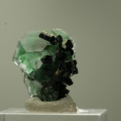 Phantom Fluorit hexagonal, Schörl Turmalin Stufe Erongo, Namibia 23*22*18mm #13740