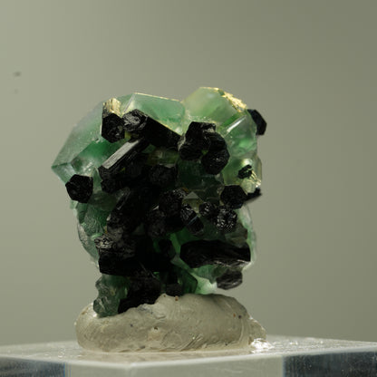 Phantom Fluorit hexagonal, Schörl Turmalin Stufe Erongo, Namibia 23*22*18mm #13740