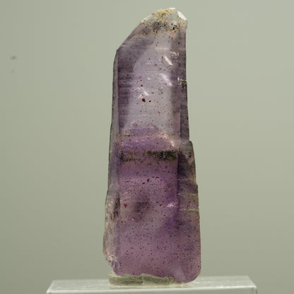 Quartz fantôme d'améthyste rare avec pointe de sceptre de fer Brandberg, Namibie 20*7*5mm #13743