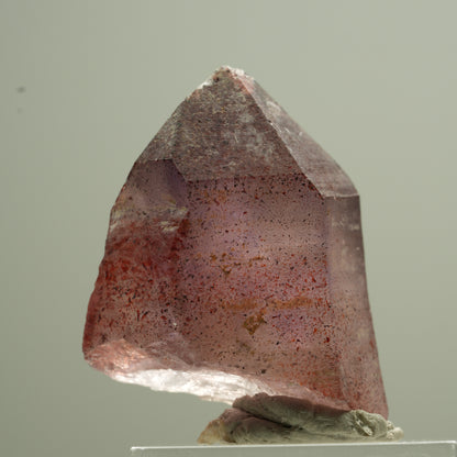 Seltene Phantom Amethyst Zepter mit Eisen Spitze Goboboseb, Namibia 18*13*12mm #13744