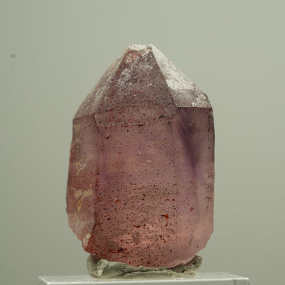 Seltene Phantom Amethyst Zepter mit Eisen Spitze Goboboseb, Namibia 18*13*12mm #13744