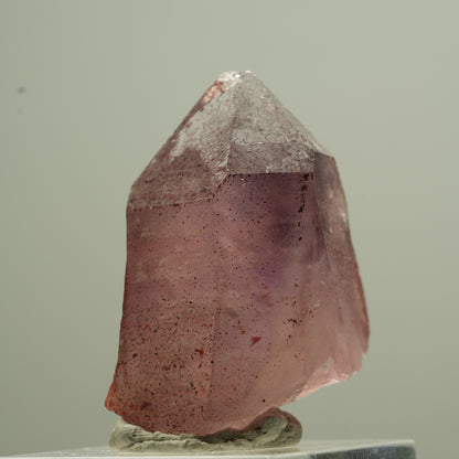 Seltene Phantom Amethyst Zepter mit Eisen Spitze Goboboseb, Namibia 18*13*12mm #13744