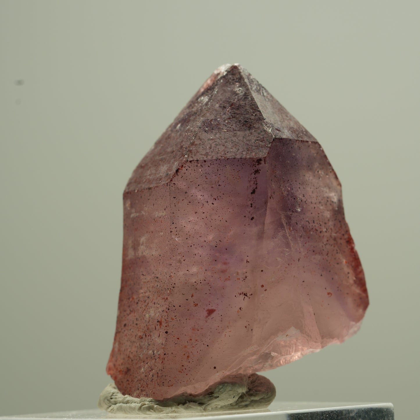 Seltene Phantom Amethyst Zepter mit Eisen Spitze Goboboseb, Namibia 18*13*12mm #13744