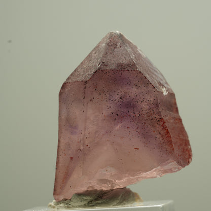 Seltene Phantom Amethyst Zepter mit Eisen Spitze Goboboseb, Namibia 18*13*12mm #13744