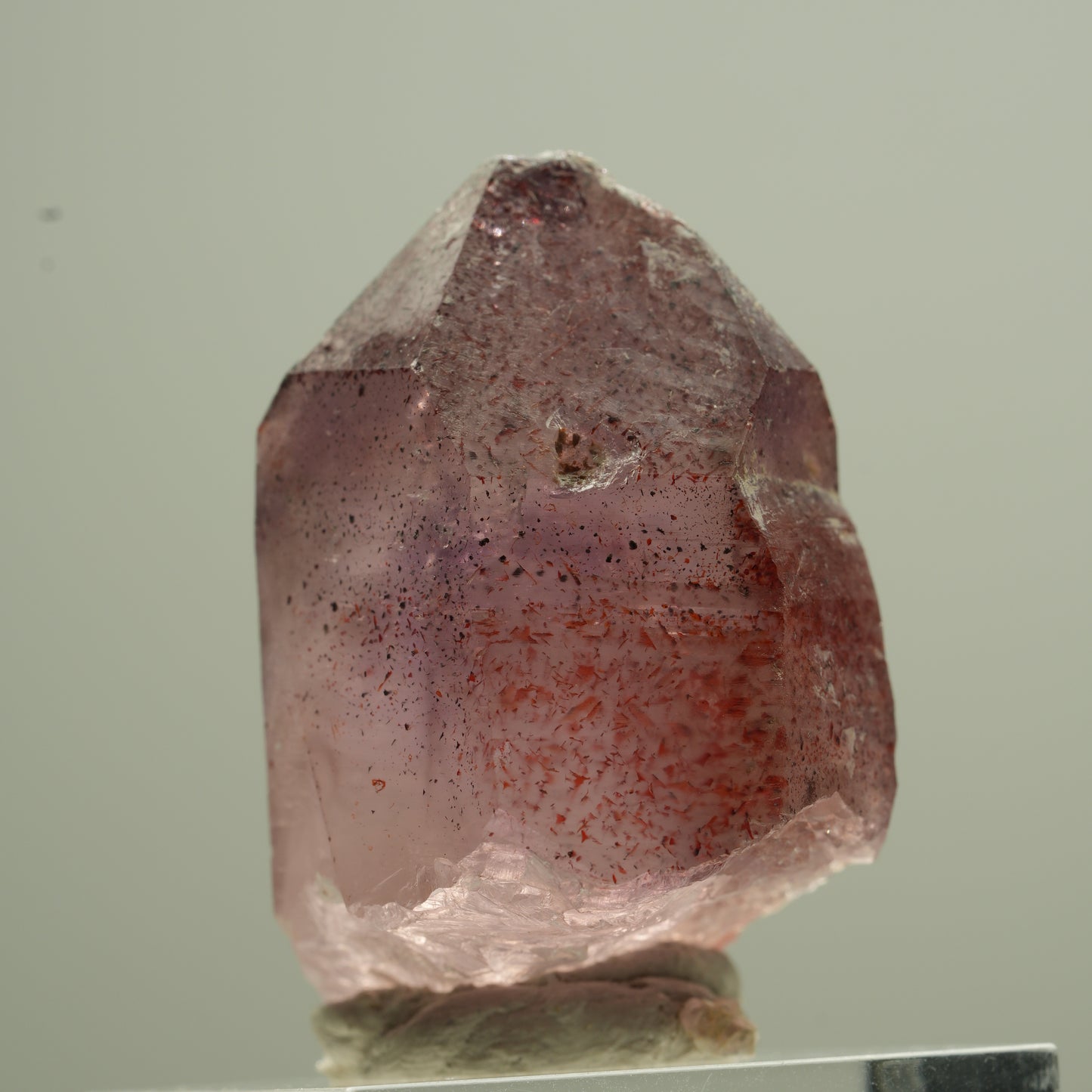 Seltene Phantom Amethyst Zepter mit Eisen Spitze Goboboseb, Namibia 18*13*12mm #13744