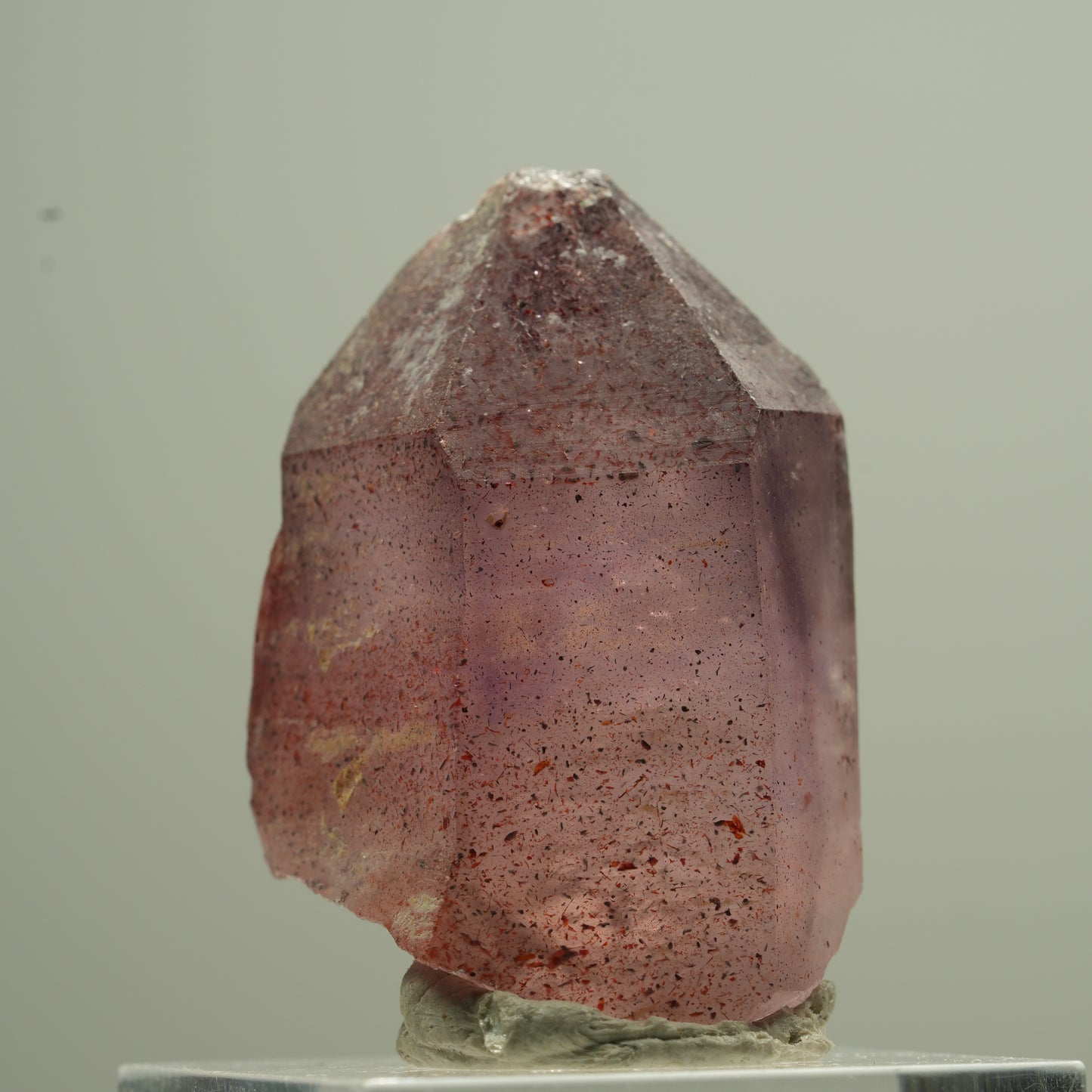 Seltene Phantom Amethyst Zepter mit Eisen Spitze Goboboseb, Namibia 18*13*12mm #13744