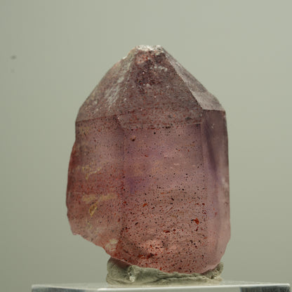 Seltene Phantom Amethyst Zepter mit Eisen Spitze Goboboseb, Namibia 18*13*12mm #13744